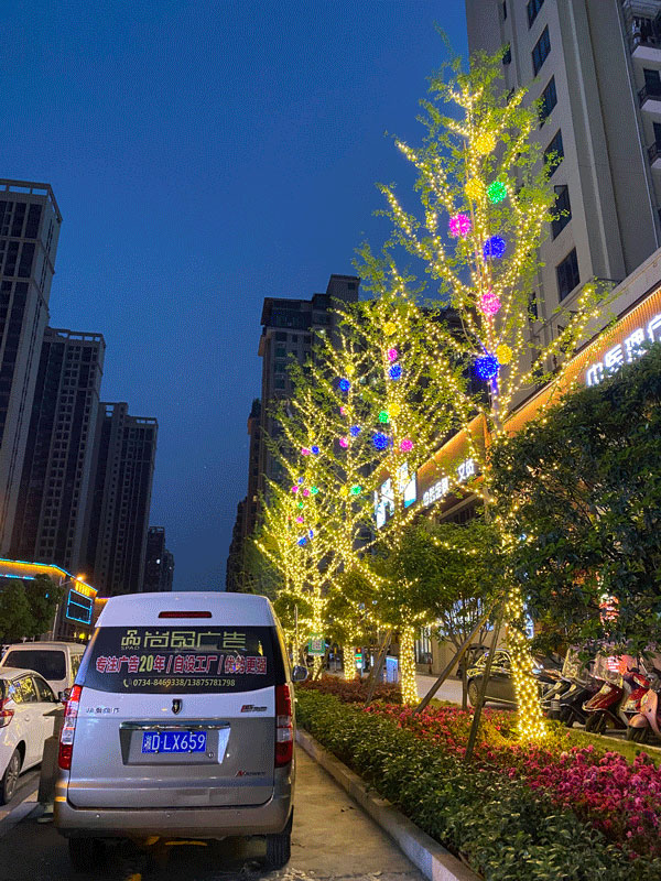 �����_������